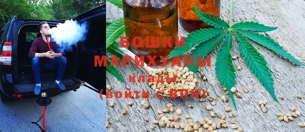 мдпв Козельск