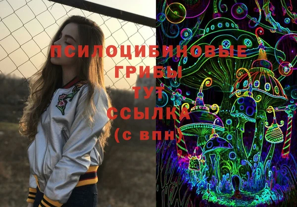 прущие грибы Козловка
