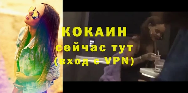 мдпв Козельск