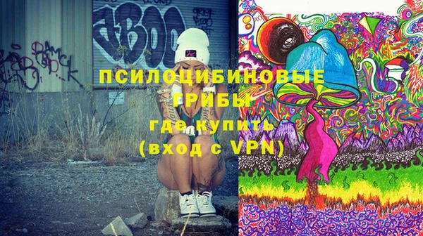 молекула духа Киреевск