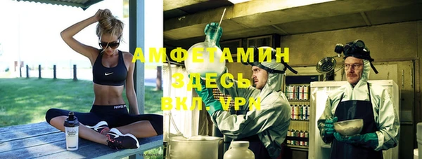 мдпв Козельск
