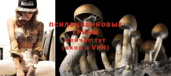молекула духа Киреевск